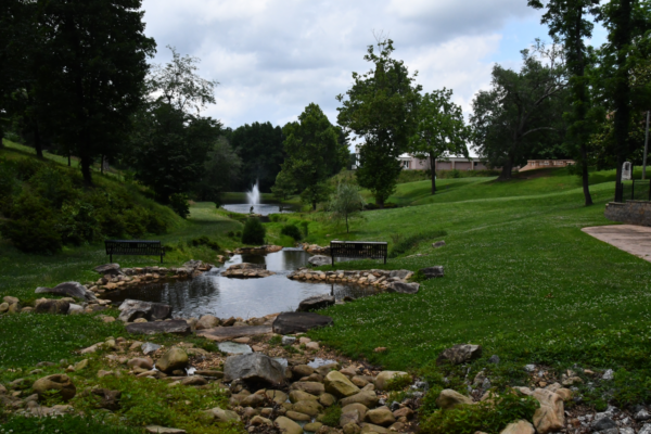 fountain on grass surrounded by trees