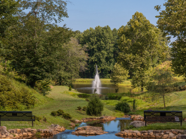 Hero Image of Fountain