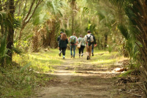 Students walking in a coastal forest